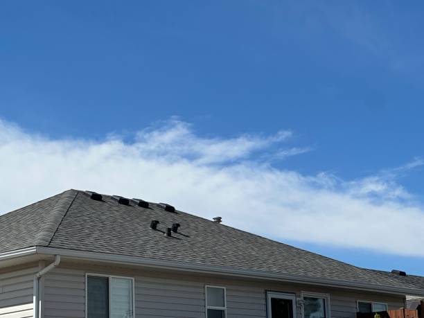 Best Skylight Installation and Repair  in Granite Hills, CA